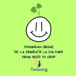 Tohumdan Urune Logo 0